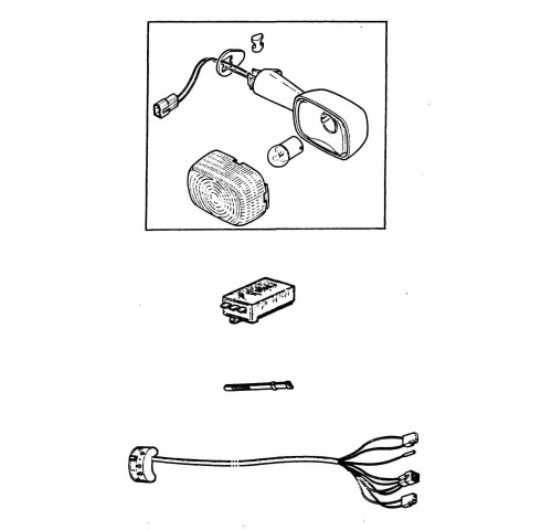 CLIGNOTANTS