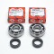 Kit Roulement Vilo + Joint Scooter Peugeot Ludix Speedfight 3 Jet Force (KIT 6204 FAG Acier C3)