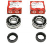 Kit Roulement Vilo + Joint Spi Renforc&eacute; Peugeot Ludix Speedfight 3 Jet Force - 6204 Polyamide C3