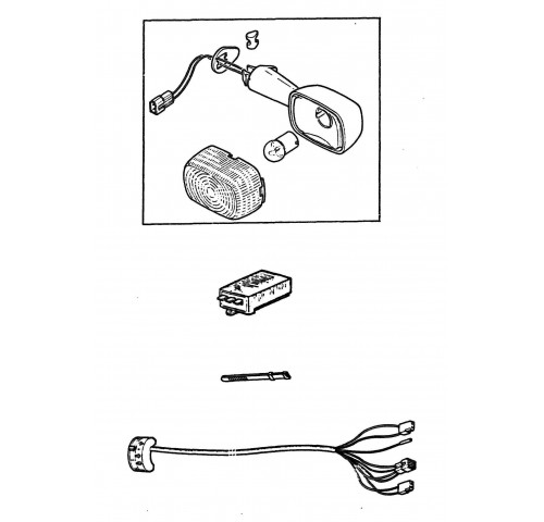 CLIGNOTANTS