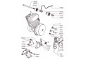 FIXATION