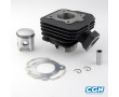 Cylindre Scooter Top Perf Fonte Peugeot Trekker TKR Speedfight Buxy Squab Zenith Elyseo Vivacity-> 08