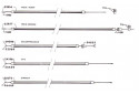 CABLES