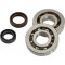 Roulement Vilebrequin + Joints spi Doppler C4 Pour Speedfight Trekker Buxy (20x52x11)