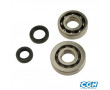 Roulement Vilo + Joint Spi Scooter Peugeot Speedfight 2 06-> 09 Trekker (Pompe a air) - 52X20X12 / 47X20X14