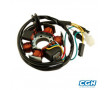 Stator Moto Minarelli AM6 / Derbi Senda / GPR 80W avec Capteur (DUCATI)