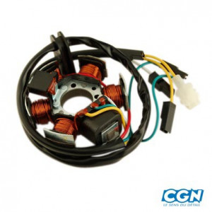 Stator Moto Minarelli AM6 / Derbi Senda / GPR 80W avec Capteur (DUCATI)
