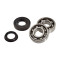 Roulement Vilebrequin + Joint Spi Scooter MBK Booster / Nitro / SR50 / Stunt / CPI (FAG C3)