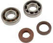 Roulement Vilo + Joints spi Doppler C4 - Minarelli AM6 endurance (6204 X2) - SKF C4 polyamide