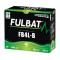 Batterie YB4L-B 12V - 5Ah sans Entretien Gel Pret a l'emploi (120x70H92) - Booster Nitro (Tous Scooter 50cc)