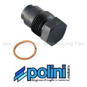 Bouchon de D&eacute;compresseur Culasse Peugeot 103 Polini