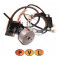 Allumage PVL Cyclo G1/G2 Rotor Interne Analog. RS Bidalot (Soie de 20mm)