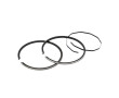 Segment Teknix Adaptable Pour Cylindre 103 Fonte (x2) pour Cylindre 506862