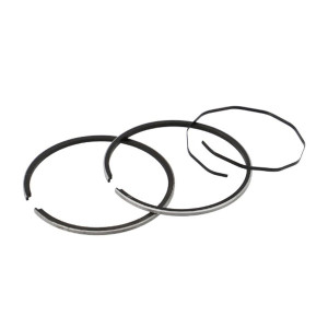Segment Teknix Adaptable Pour Cylindre 103 Fonte (x2) pour Cylindre 506862
