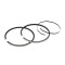 Segment Teknix Adaptable Pour Cylindre 103 Fonte (x2) pour Cylindre 506862
