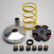 Variateur Cyclo Malossi Multivar Peugeot Fox FXR ST50 / Honda Wallaroo Vision Dio Aero 50
