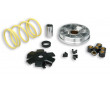 Variateur Malossi Multivar Peugeot Fox FXR ST50 / Honda Wallaroo Vision Dio Aero 50