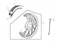 ROUE