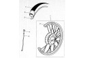 ROUE