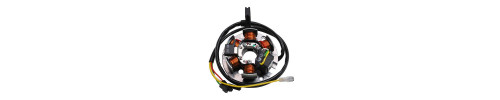 Rotor et stator mobylette