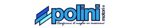 Pi&egrave;ces d&eacute;tach&eacute;es carburateur POLINI CP