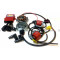 Allumage PVL 650 fire Digital Pour ULM MC30 luciole Bi-Cylindre 625 B&S