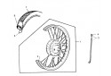 ROUE
