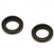 Joint Spi Vilebrequin Cyclo Piaggio Ciao Malossi 24x15x5 - La Paire