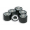 Galet Variateur 19x15.5 Malossi HTRoll Pour Vario S2BR / Multivar / Piaggio (X6) // Poids au Choix