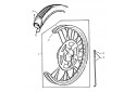 ROUE