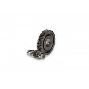 Engrenage Secondaire Malossi C-One / RC-One 13/48 - Transmission Soie de 17mm