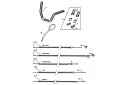 GUIDON