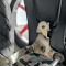 Ecrou Tôle M5X0.80 Capotage Peugeot 103
