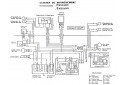 SCHEMA