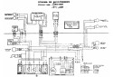 SCHEMA