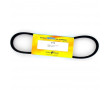 Courroie Cyclo Peugeot BB CT RS Lisse Ventico D19 (Lg. Ext. 786x14.5x8)