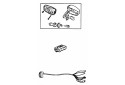 CLIGNOTANTS