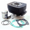 Cylindre Peugeot 103 Fonte 3 Transfert Type Origine Vogue Evo / SP MVL (759932)