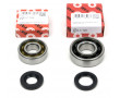 Kit roulements moteur 6203 / 6204 TVH polyamide FAG - Peugeot 103