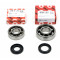 Kit roulements moteur 6203 / 6204 TVH polyamide FAG - Peugeot 103