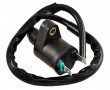 Bobine Allumage Scooter Peugeot Trekker Buxy Speedfight TKR Vivacity Ludix Elyseo Looxor