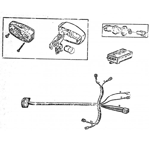 CLIGNOTANTS 