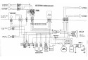SCHEMA