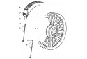 ROUE