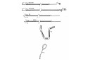 GUIDON