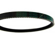 Courroie de transmission Peugeot XP - Lg. Ext 583x14x8 - Origine Peugeot (Dayco 11.705.810.00 B)