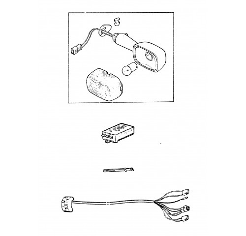 CLIGNOTANTS