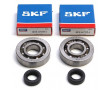 Roulement Vilo + Joint Cyclo Peugeot fox (KIT SC04a47cs SKF Polyamide)