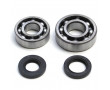 Roulement Vilo + Joint Cyclo Peugeot 103 (KIT 6204+6203 Acier C3)