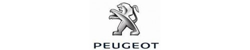 Pot d'&eacute;chappement moto Peugeot 50 cc 